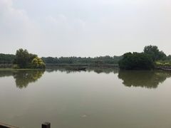 -大湾区中央湿地公园