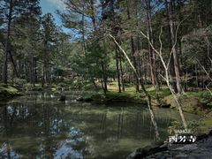 -西芳寺(苔寺)