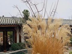 -太白山御龙湾温泉