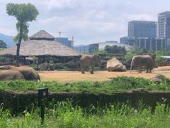 -杭州野生动物世界