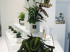 -香草山咖啡店·外教英语角·自习室(盛世商都店)