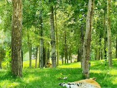 -北京野生动物园