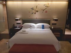 -成都保利公园皇冠假日酒店(熊猫基地店)