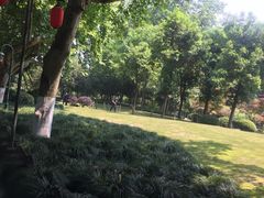 -杭州黄龙洞