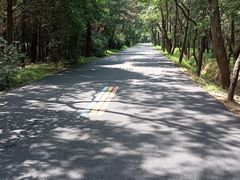 -日照海滨国家森林公园