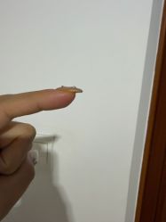 -美画·轻奢美甲美睫