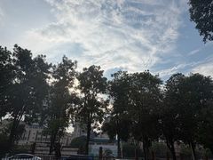 -弓虽昌焖烧鸡(大竹林店)