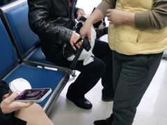 -申普宠物医院·眼科·心内科·影像科(普陀分院)