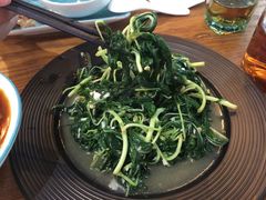 炒麻叶-唔止卤嘢·潮州府城菜(鹭江店)