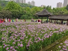-龙头寺公园