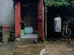 -二楼南书房