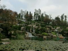 -秀丽东方