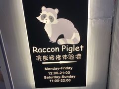 -浣熊柯尔鸭土拨鼠·电玩咖
