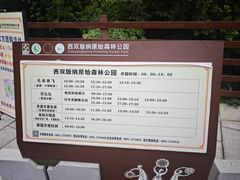 -西双版纳原始森林公园
