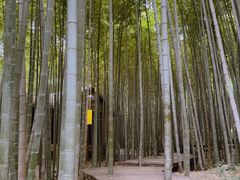 -苏州环秀晓筑养生度假村