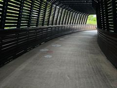 -昆山城市生态森林公园