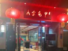 -火焰金龟甲(汉阳江滩旗舰店)