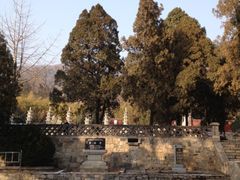 -泰山风景名胜区-普照寺