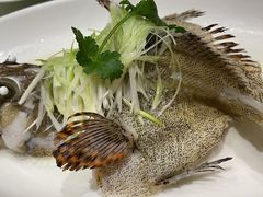 -东国海鲜火锅城(氹仔店)