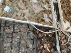 -济南海鲜大市场