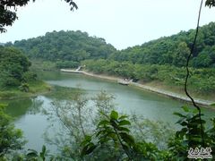 -广州市帽峰山景区