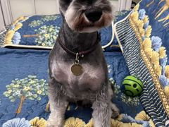 -心仪动物医院·牙专科·肿瘤·心脏科(西客站院)