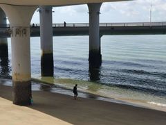 -演武大桥观景平台
