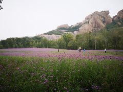 -嵖岈山风景区