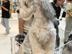 -汇德隆银隆