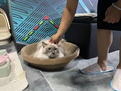 -零纪元VR体验馆·桌游(黄浦店)