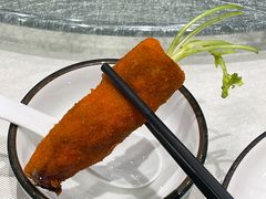 -丁老爷子苏香圆