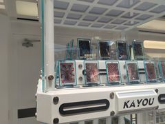 -kidsland(合生汇店)