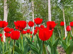 -长春公园(普阳街道)