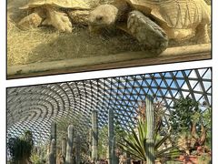 -上海辰山植物园