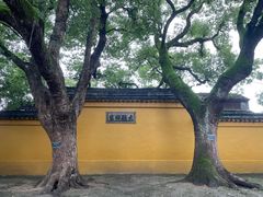 -西园戒幢律寺