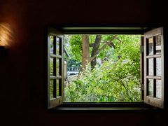 -The Pine 松涧