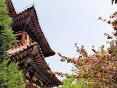 -西安青龙寺遗址景区