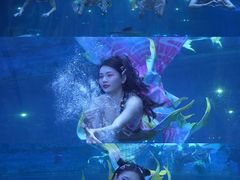 -华夏文旅海洋公园