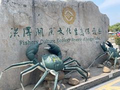 -泗洪洪泽湖湿地景区