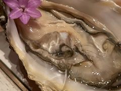 法国精选生蚝-ZHAO赵·牛扒坊(万象城店)