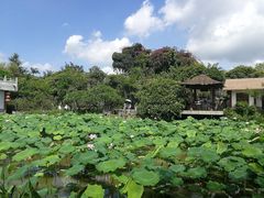 -惠州西湖丰渚园