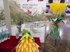 -天幕新彩云国际影城(激光巨幕店)