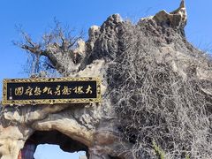 -大槐树寻根祭祖园