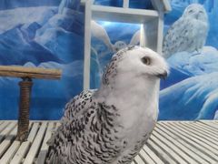 -成都浩海立方海洋公园