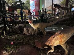 -湖南省地质博物馆