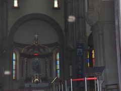 -上海佘山国家森林公园西佘山园