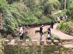 -凤栖山