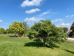 -安德鲁户外烧烤帐篷营地(马泉营店)