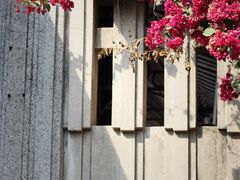 -赵小姐的店(鼓浪屿三友店)