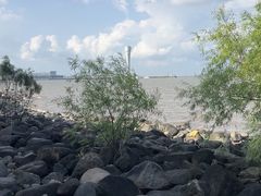 -上海吴淞炮台湾国家湿地公园